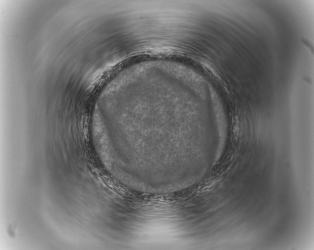 X0000101441016200807281018