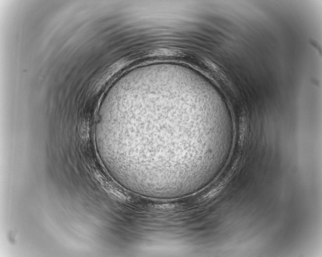 X0000101441017200807281018