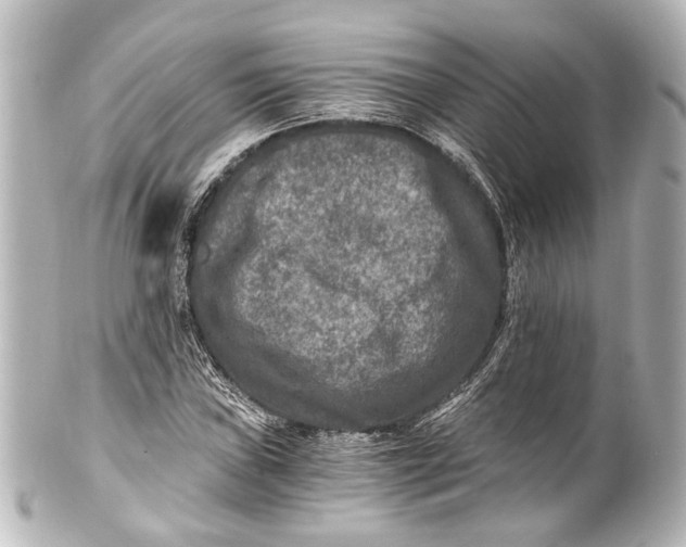 X0000101441019200807281018