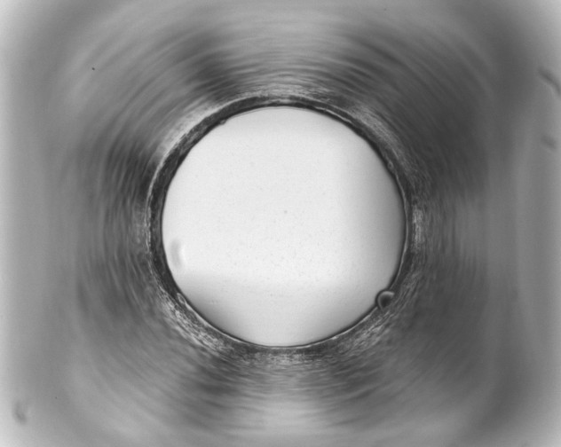 X0000101441020200807281018