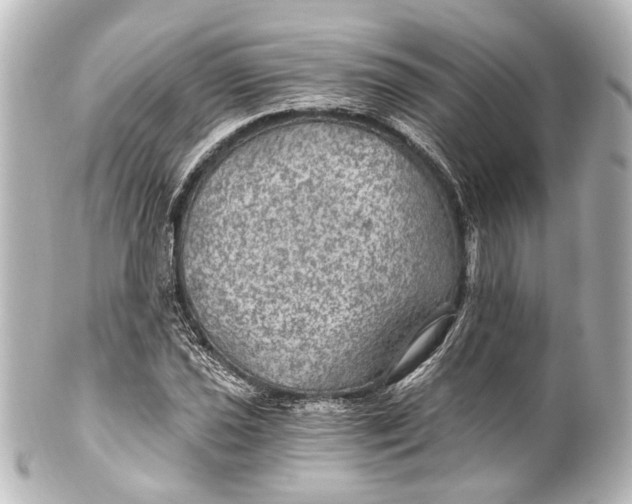 X0000101441021200807281018