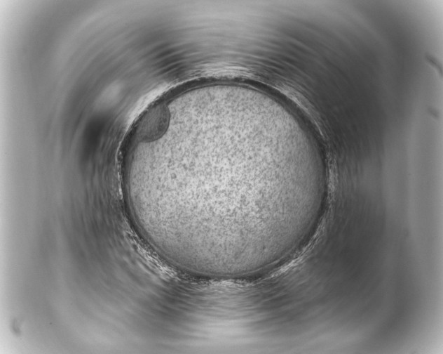 X0000101441022200807281018