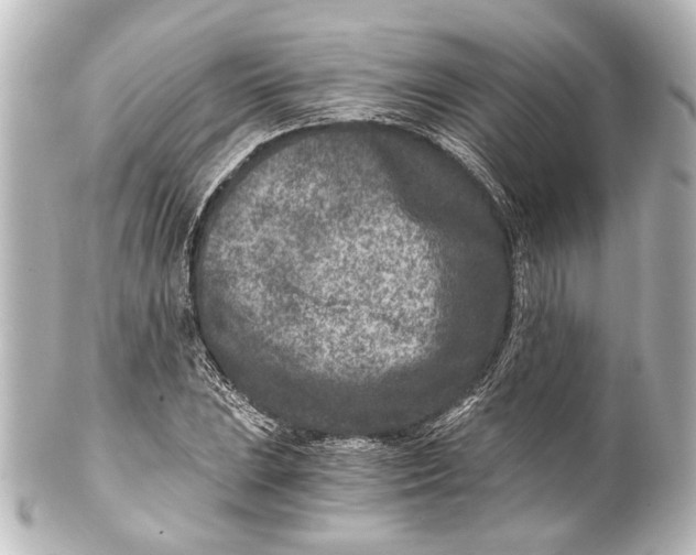 X0000101441023200807281018