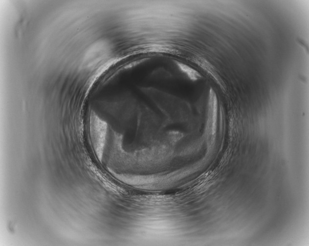 X0000101441024200807281018