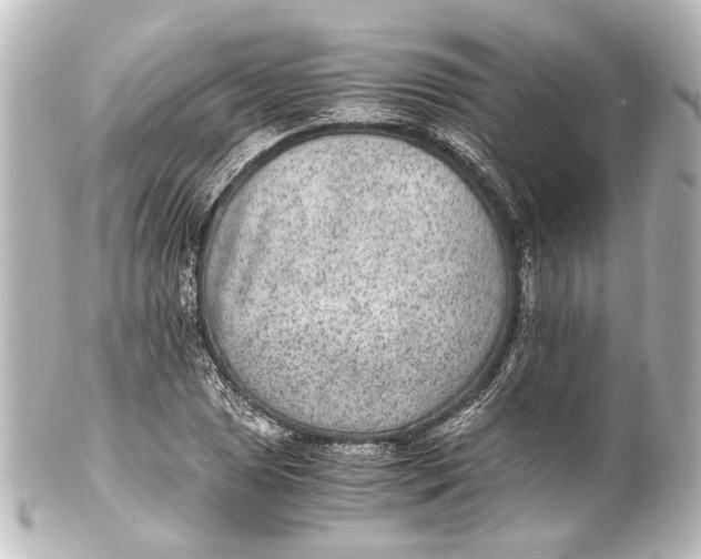 X0000101441025200807281018