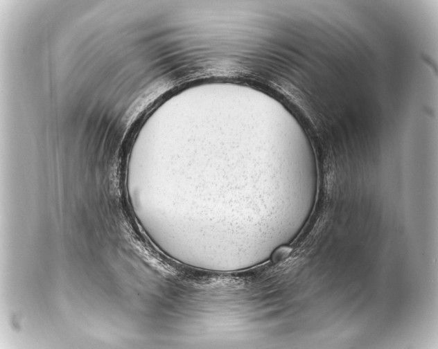 X0000101441026200807281018