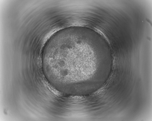 X0000101441027200807281018