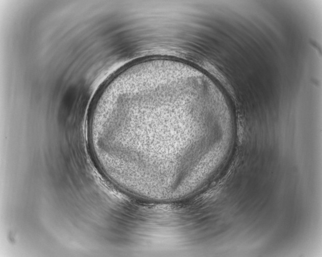 X0000101441028200807281018