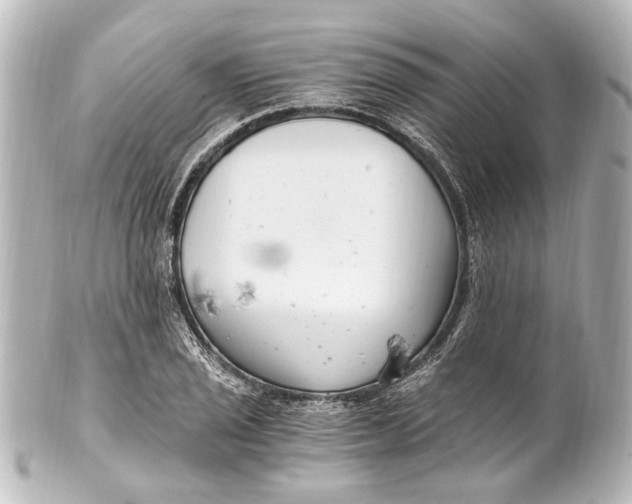 X0000101441029200807281018