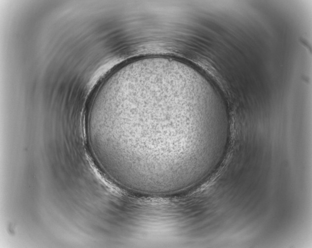 X0000101441030200807281018