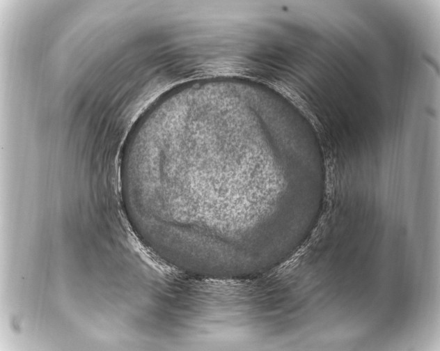 X0000101441031200807281018