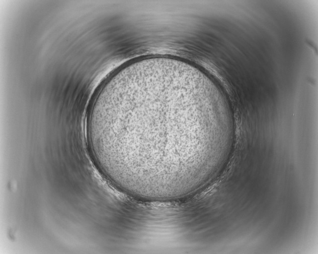 X0000101441032200807281018