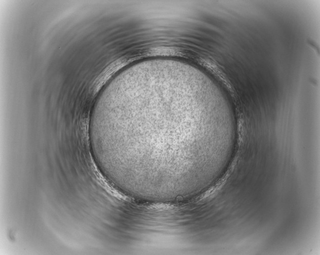 X0000101441033200807281018