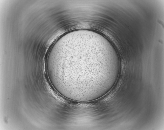 X0000101441034200807281018