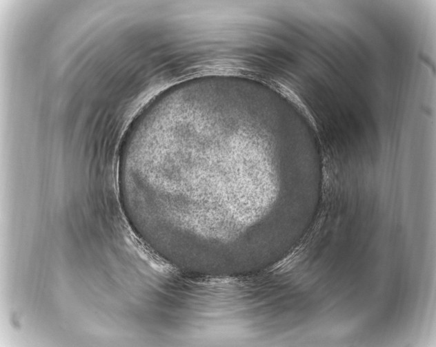 X0000101441035200807281018