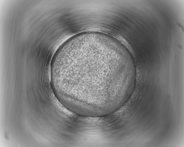 X0000101441036200807281018