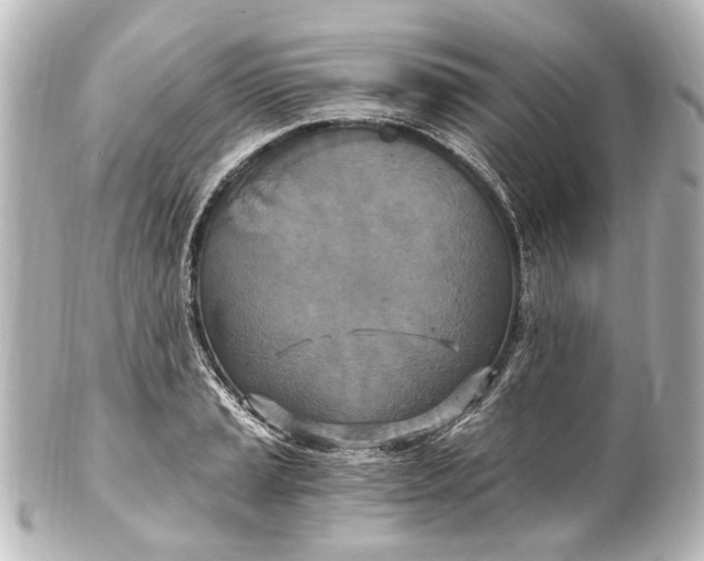 X0000101441037200807281018