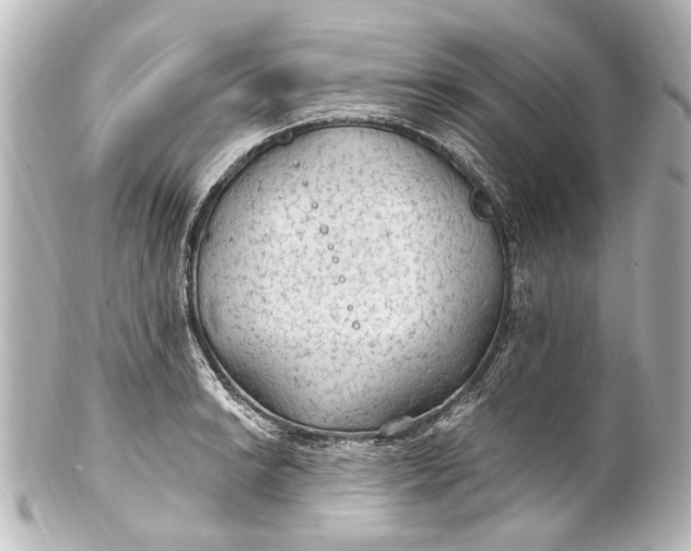 X0000101441038200807281018