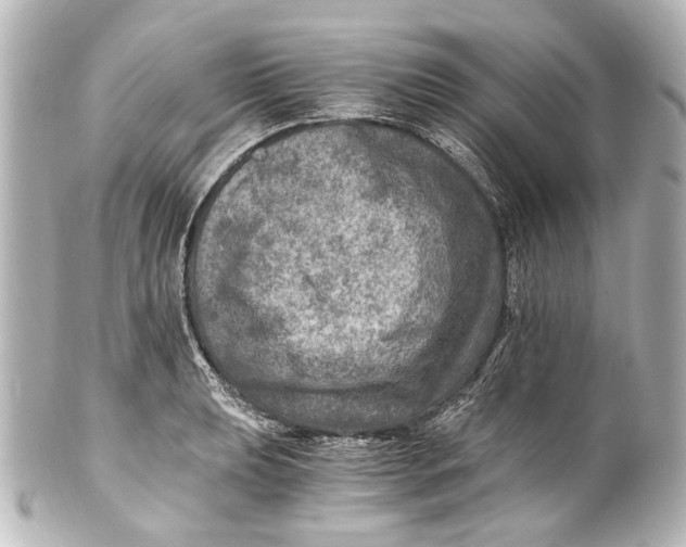 X0000101441039200807281018