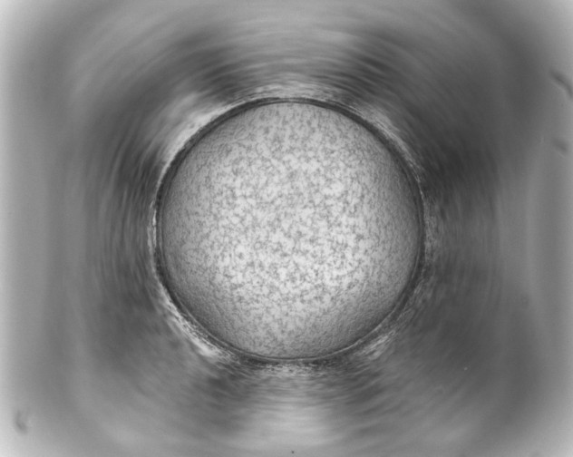 X0000101441040200807281018