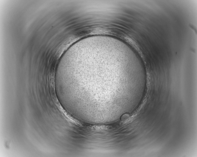 X0000101441041200807281018