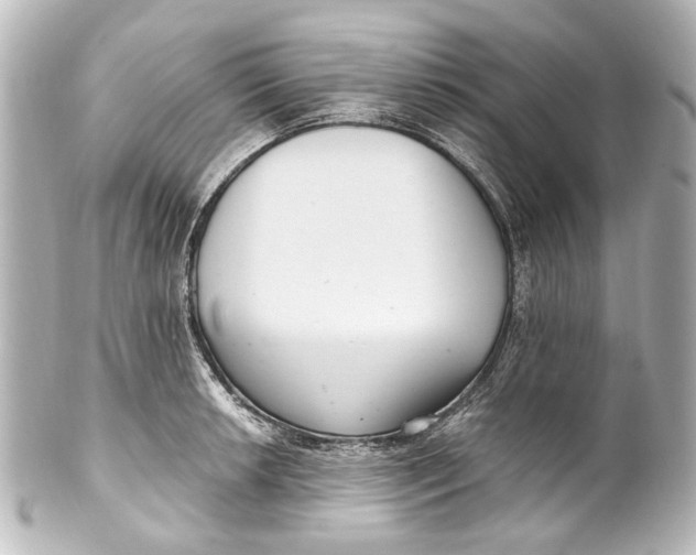 X0000101441042200807281018