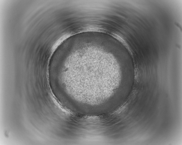 X0000101441043200807281018