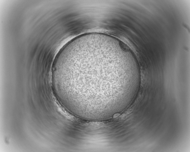 X0000101441044200807281018