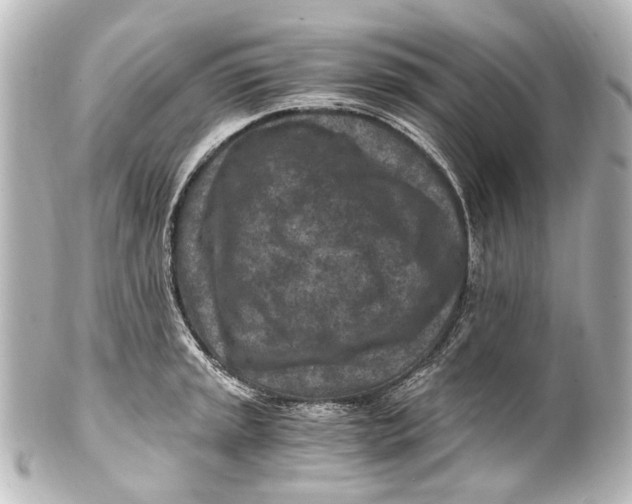 X0000101441045200807281018