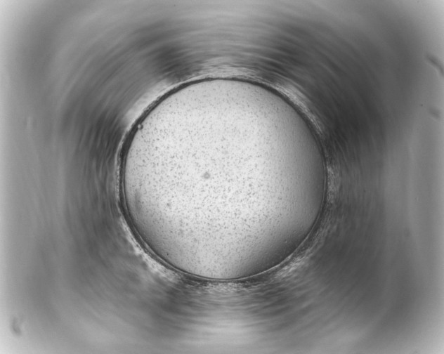 X0000101441046200807281018