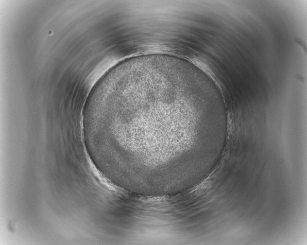 X0000101441047200807281018