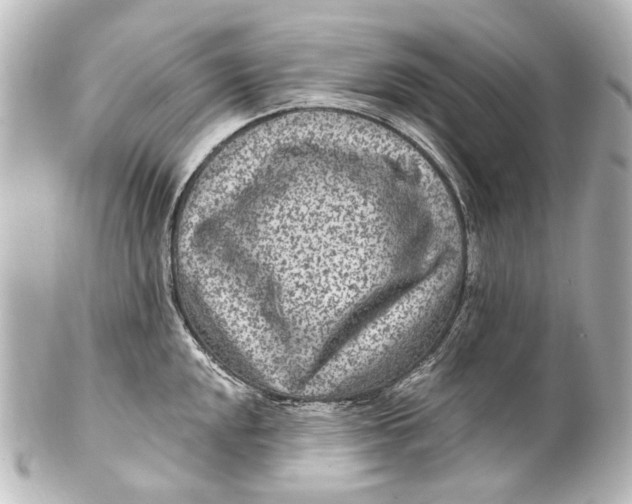 X0000101441048200807281018