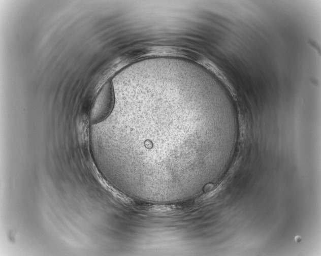 X0000101441049200807281018