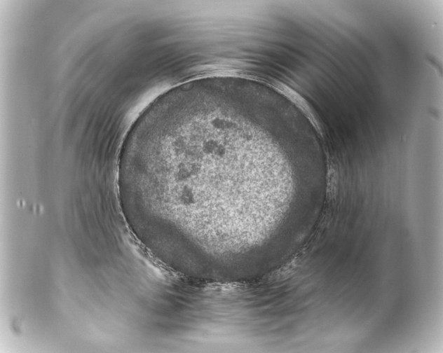 X0000101441051200807281018