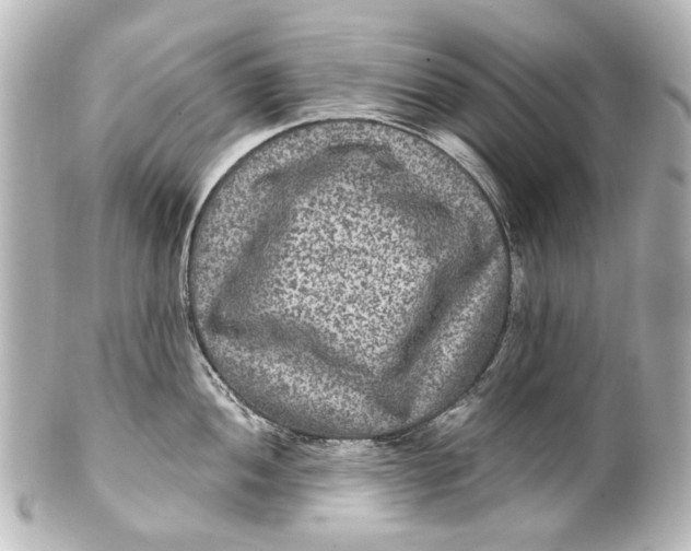 X0000101441052200807281018