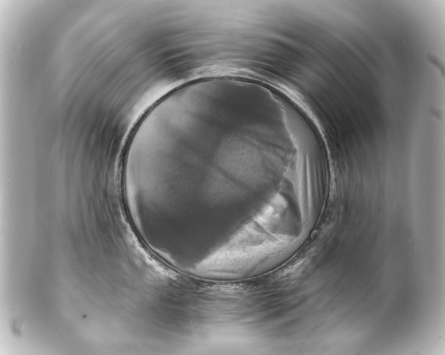 X0000101441053200807281018