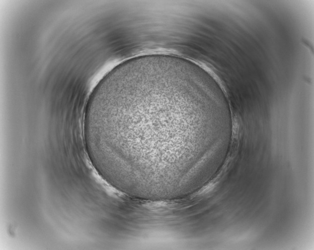 X0000101441054200807281018