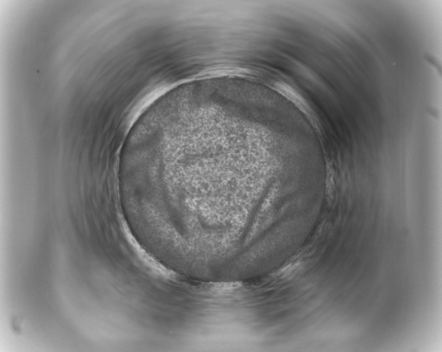 X0000101441055200807281018