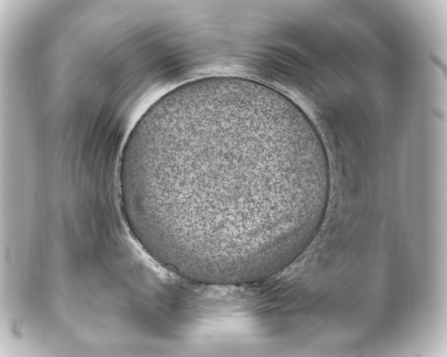 X0000101441056200807281018