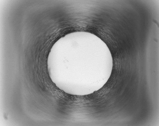 X0000101441057200807281017