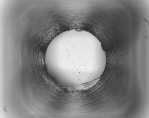 X0000101441058200807281017