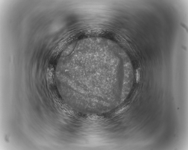 X0000101441059200807281017