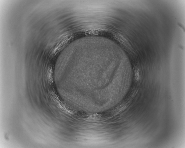 X0000101441060200807281017