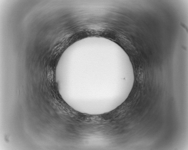 X0000101441061200807281017