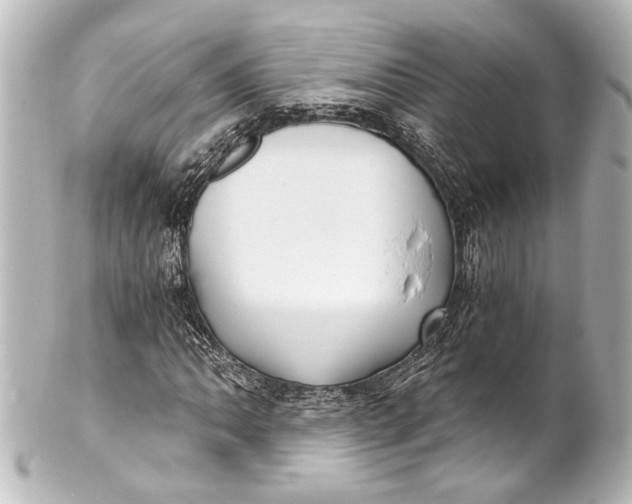 X0000101441062200807281017