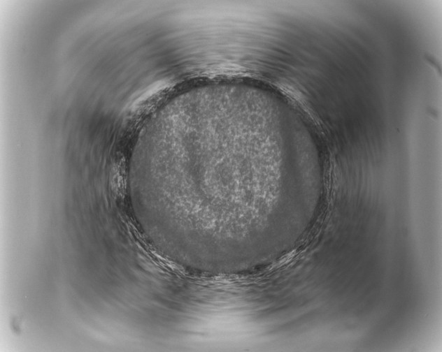 X0000101441063200807281017