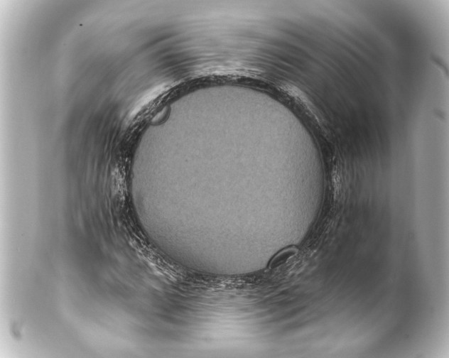 X0000101441064200807281017