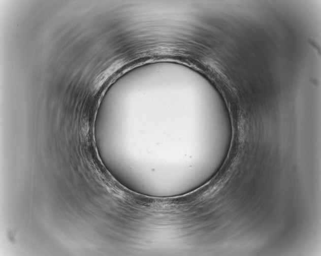 X0000101441065200807281017