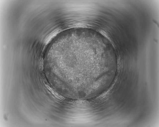 X0000101441067200807281017