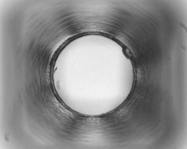 X0000101441068200807281017